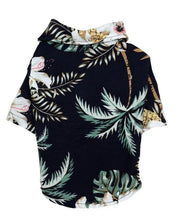 Coconut tree blue