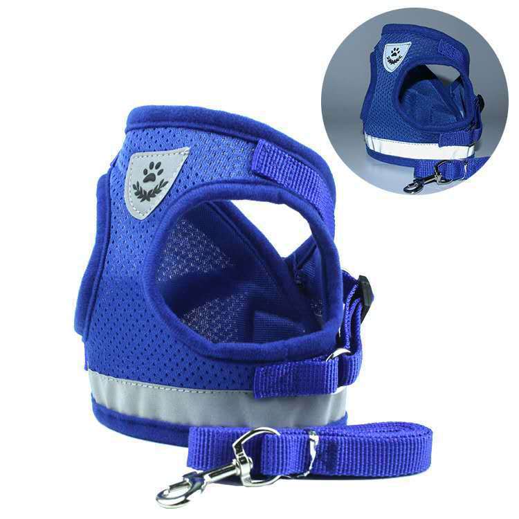 Blue dog harness with reflective strip and leash on a white background
