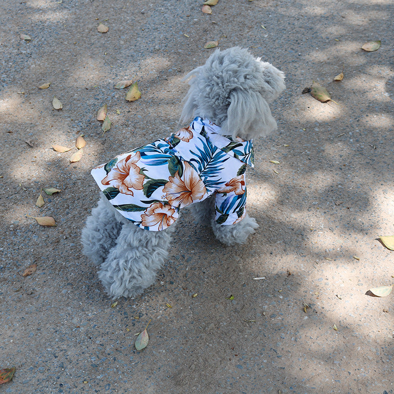 Small dog wearing a floral bandana on a concrete surface with scattered leaves.