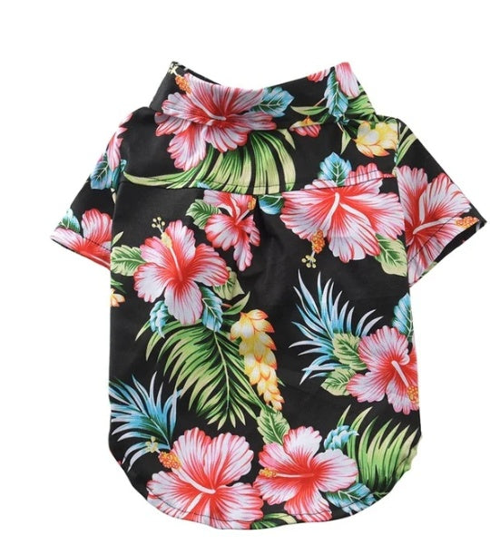 Black shirt with colorful floral pattern on a white background