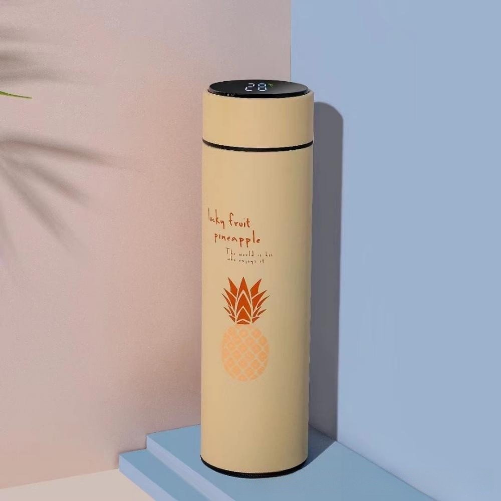 Stainless Steel Double - layer Intelligent Display Temperature Cup - AmiraMart
