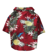 Hawaiian red