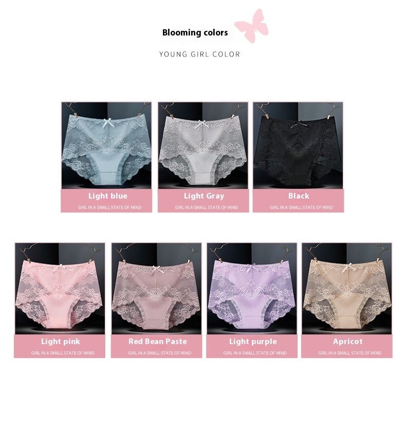 Antibacterial Crotch Sexy Lace Underwear - AmiraMart