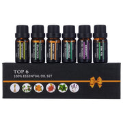 6 PC
