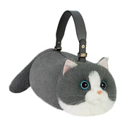 Blue And White Cat