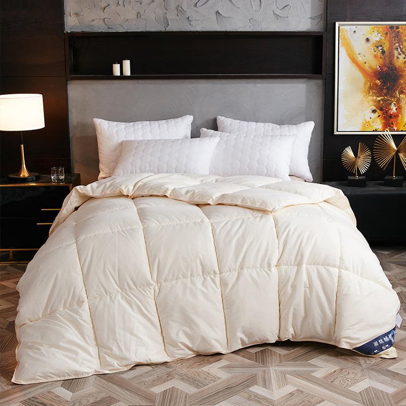 Down Duvet, Winter Duvet, Goose Down Duvet Core, Air Conditioner - AmiraMart