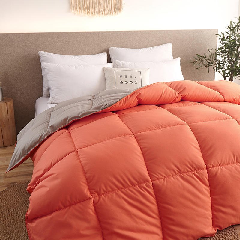 Down Duvet, Winter Duvet, Goose Down Duvet Core, Air Conditioner - AmiraMart