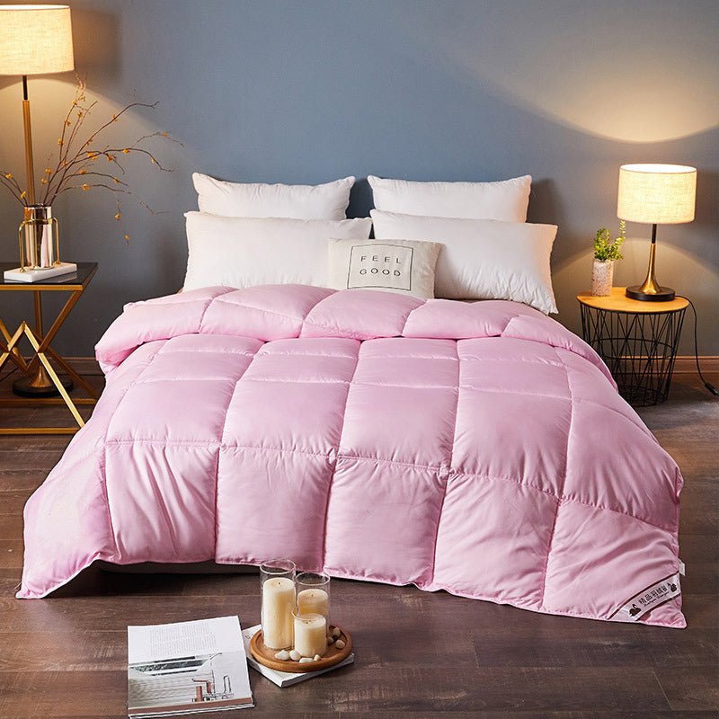 Down Duvet, Winter Duvet, Goose Down Duvet Core, Air Conditioner - AmiraMart