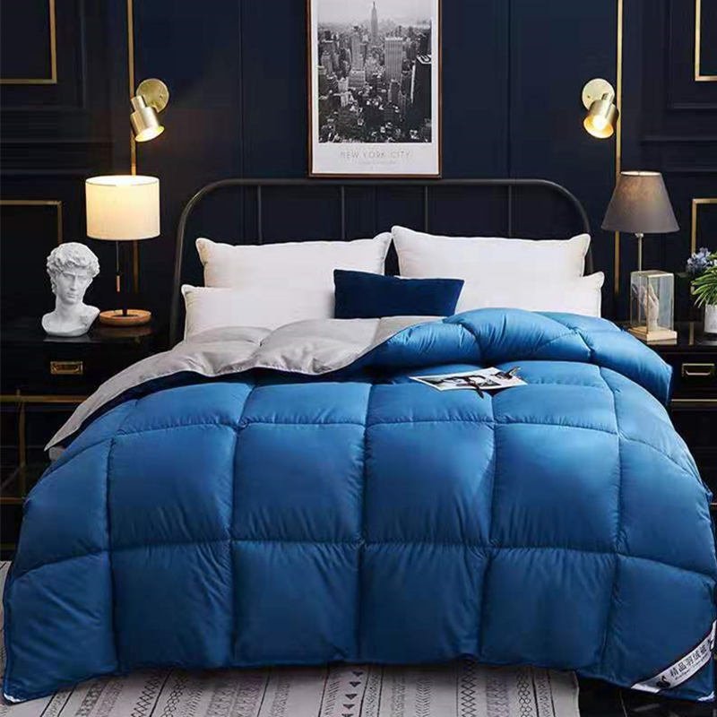 Down Duvet, Winter Duvet, Goose Down Duvet Core, Air Conditioner - AmiraMart
