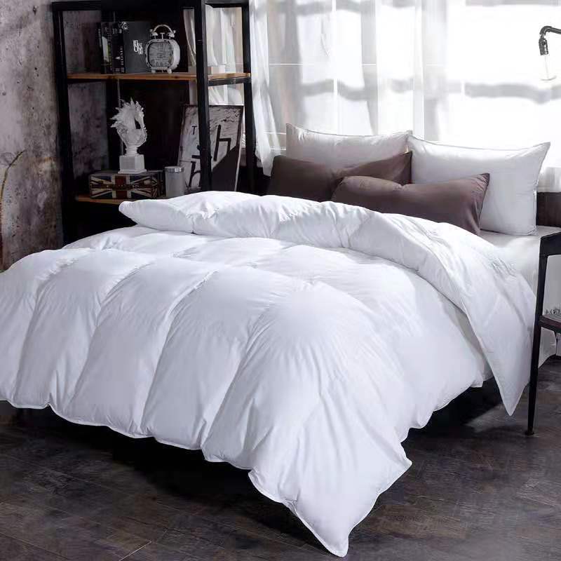 Down Duvet, Winter Duvet, Goose Down Duvet Core, Air Conditioner - AmiraMart