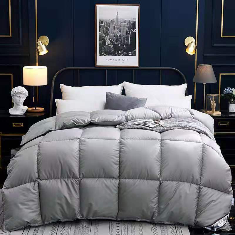 Down Duvet, Winter Duvet, Goose Down Duvet Core, Air Conditioner - AmiraMart