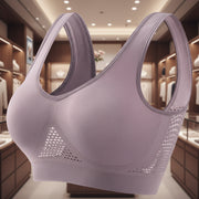 Purple Gray With Chest Pad