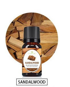 Flame Aroma Diffuser Air Humidifier - AmiraMart