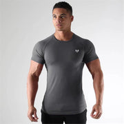 DT2 dark grey