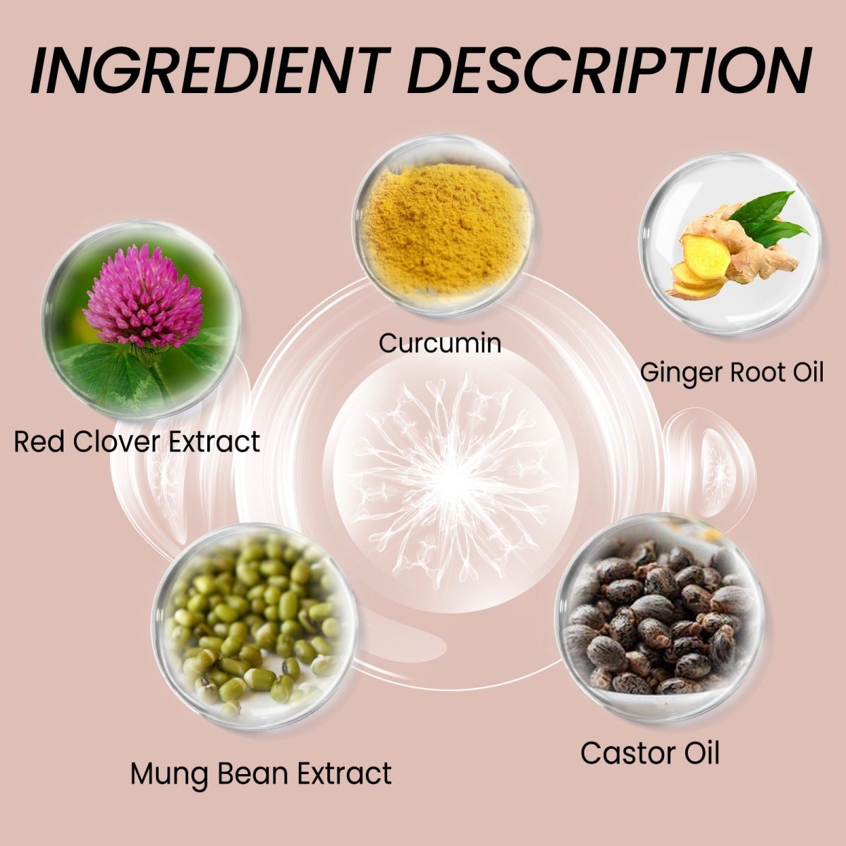 Hair Dense Essence – Anti - Hair Loss & Growth Treatment - AmiraMart
