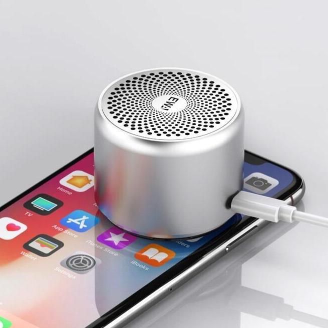 Pro Mini Bluetooth Speaker with Bass Radiator - AmiraMart
