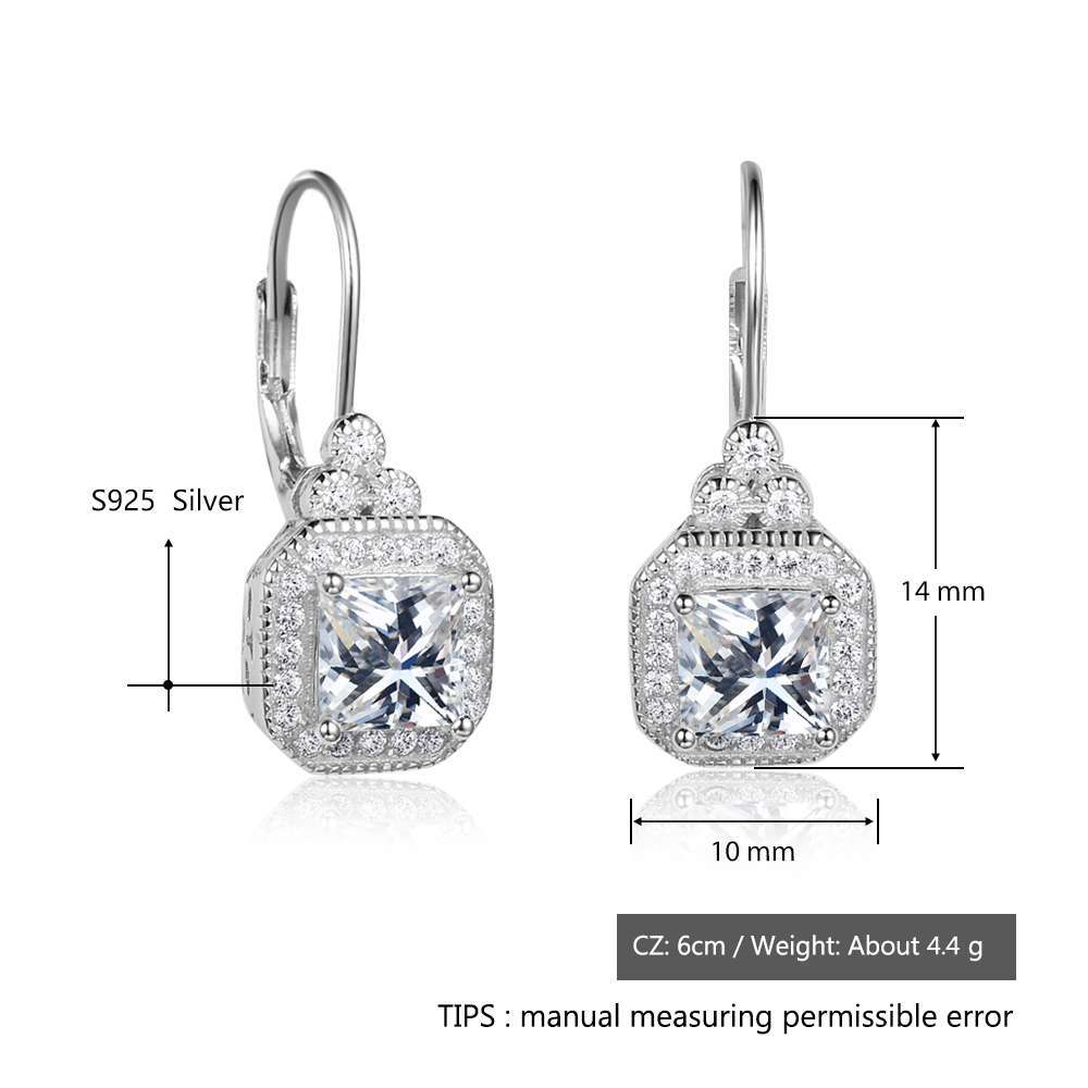 S925 Sterling Silver Rhinestone Earrings - AmiraMart