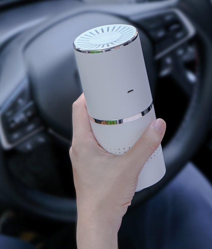 Sterilization And Deodorization Anion Aromatherapy Air Purifier - AmiraMart