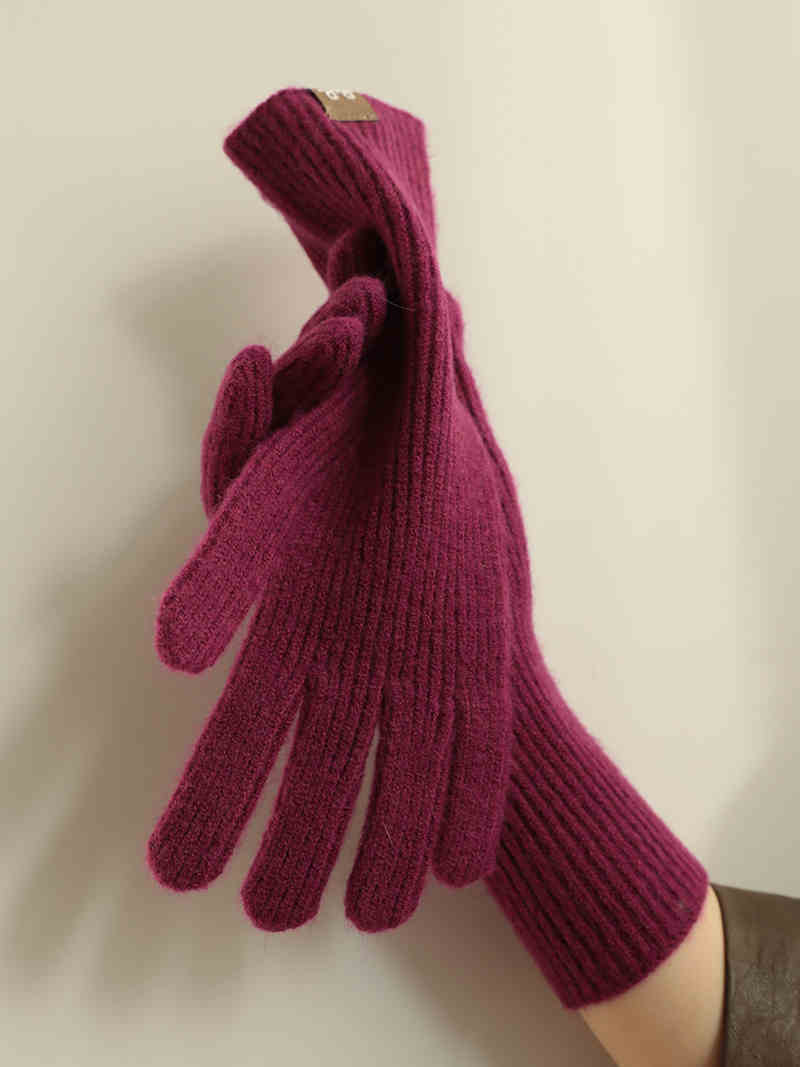 Warm - keeping And Cold - proof Finger Touch Screen Gloves - AmiraMart