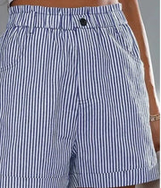 Blue Stripes