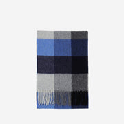 Blue And White Grid